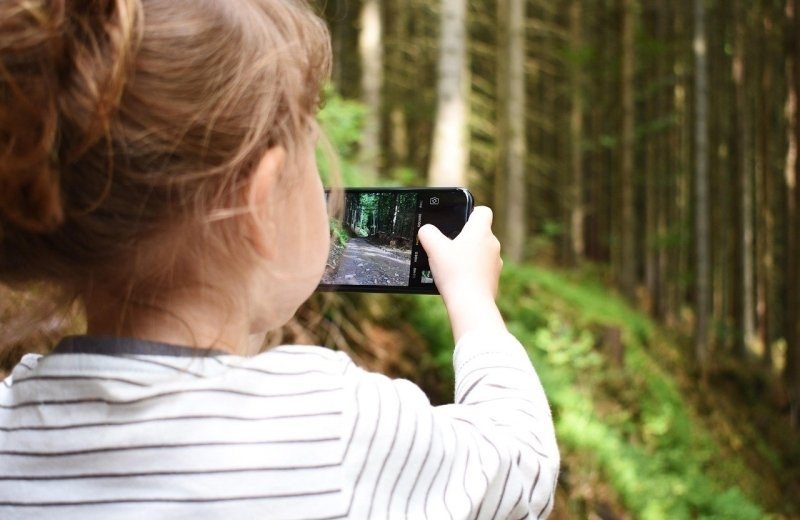 Photo Safari at Camping Hitjesvijver